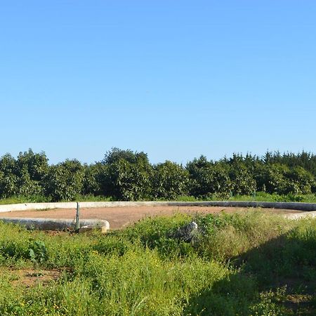 Quinta Das Figueiras Vila Nova de Cacela Ngoại thất bức ảnh